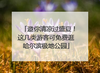 邀你清凉过盛夏！这几类游客可免费逛哈尔滨极地公园