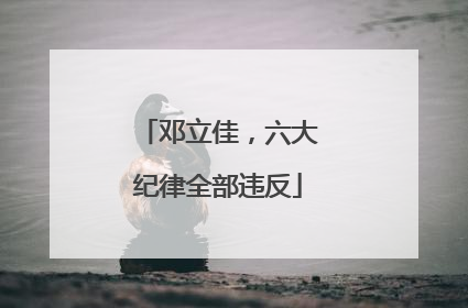 邓立佳，六大纪律全部违反