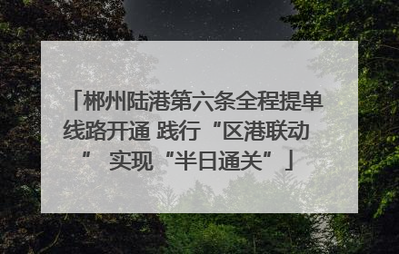 郴州陆港第六条全程提单线路开通 践行“区港联动” 实现“半日通关”