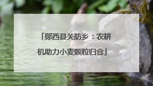 郧西县关防乡：农耕机助力小麦颗粒归仓