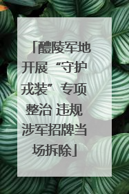 醴陵军地开展“守护戎装”专项整治 违规涉军招牌当场拆除