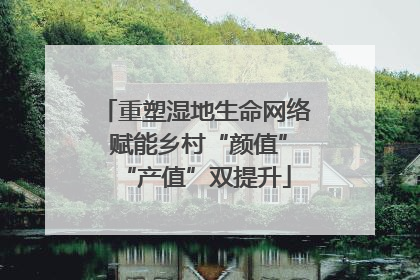 重塑湿地生命网络 赋能乡村“颜值”“产值”双提升