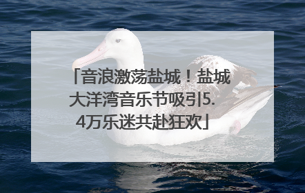 音浪激荡盐城！盐城大洋湾音乐节吸引5.4万乐迷共赴狂欢
