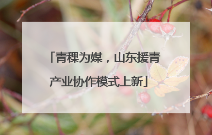 青稞为媒，山东援青产业协作模式上新