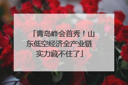 青岛峰会首秀！山东低空经济全产业链实力藏不住了