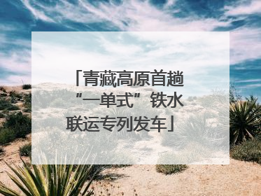青藏高原首趟“一单式”铁水联运专列发车