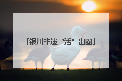 银川非遗“活”出圈