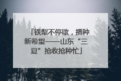 铁犁不停歇，播种新希望——山东“三夏”抢收抢种忙