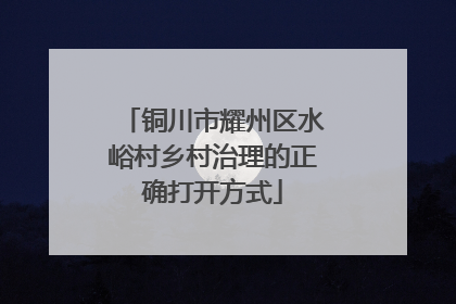 铜川市耀州区水峪村乡村治理的正确打开方式
