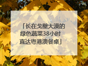 长在戈壁大漠的绿色蔬菜38小时直达粤港澳餐桌