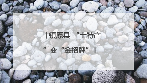镇原县 “土特产”变“金招牌”