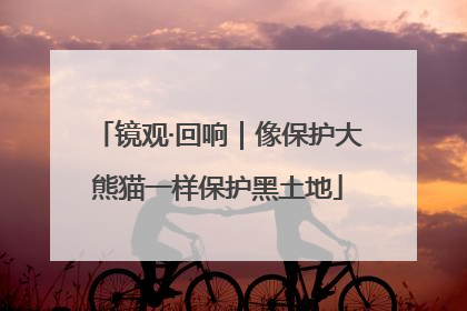 镜观·回响｜像保护大熊猫一样保护黑土地