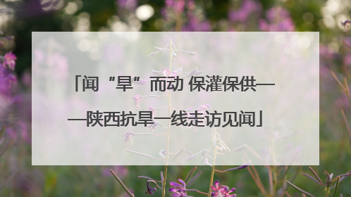 闻“旱”而动 保灌保供——陕西抗旱一线走访见闻
