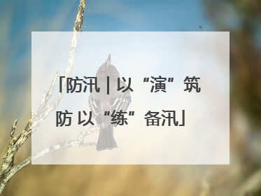 防汛｜以“演”筑防 以“练”备汛