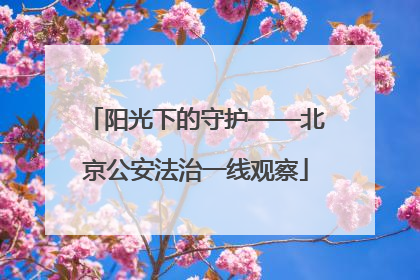 阳光下的守护——北京公安法治一线观察