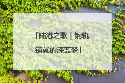 陆港之歌｜钢轨铺就的深蓝梦