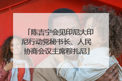 陈吉宁会见印尼大印尼行动党秘书长、人民协商会议主席穆扎尼