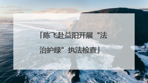 陈飞赴益阳开展“法治护绿”执法检查