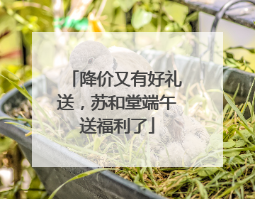 降价又有好礼送，苏和堂端午送福利了