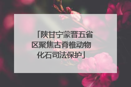 陕甘宁蒙晋五省区聚焦古脊椎动物化石司法保护