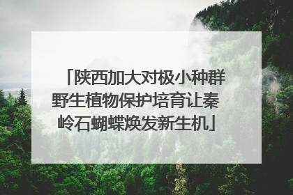 陕西加大对极小种群野生植物保护培育让秦岭石蝴蝶焕发新生机