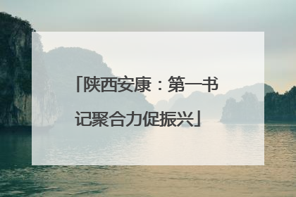 陕西安康：第一书记聚合力促振兴