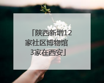 陕西新增12家社区博物馆 3家在西安
