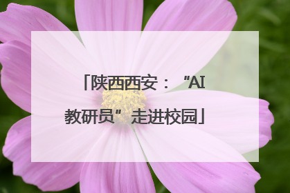 陕西西安：“AI教研员”走进校园