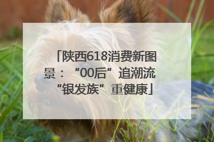 陕西618消费新图景：“00后”追潮流 “银发族”重健康