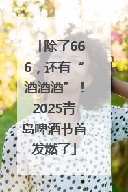 除了666，还有“酒酒酒”！2025青岛啤酒节首发燃了