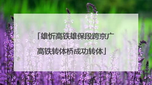 雄忻高铁雄保段跨京广高铁转体桥成功转体