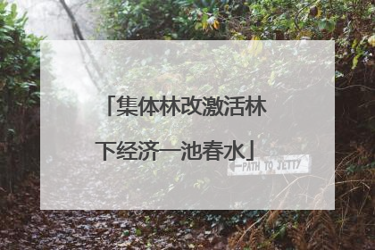 集体林改激活林下经济一池春水