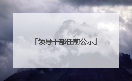 领导干部任前公示