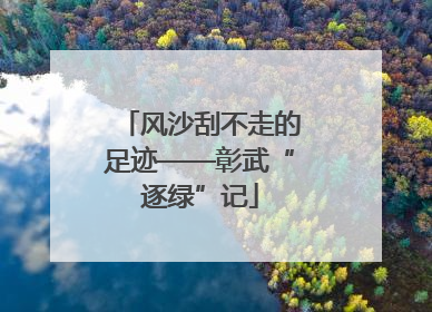 风沙刮不走的足迹——彰武“逐绿”记