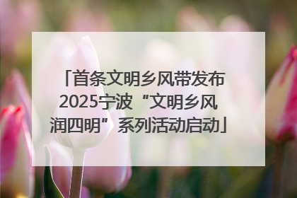 首条文明乡风带发布 2025宁波“文明乡风润四明”系列活动启动