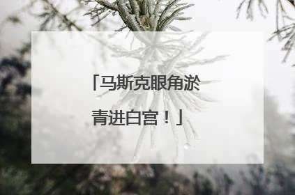 马斯克眼角淤青进白宫！