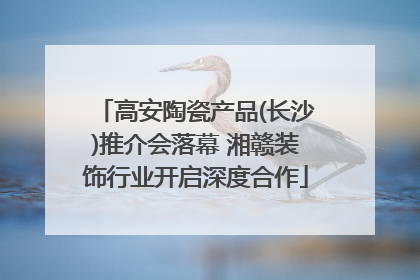 高安陶瓷产品(长沙)推介会落幕 湘赣装饰行业开启深度合作
