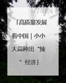 高质量发展看中国｜小小大蒜种出“辣”经济