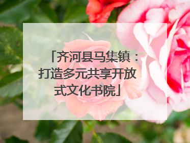 齐河县马集镇：打造多元共享开放式文化书院