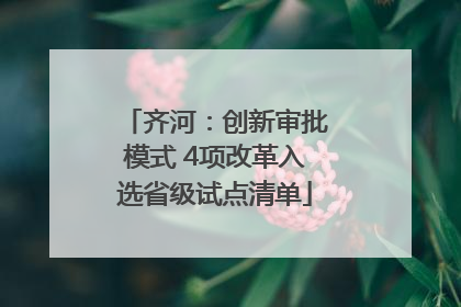 齐河：创新审批模式 4项改革入选省级试点清单