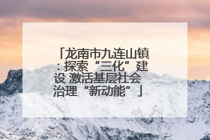 龙南市九连山镇：探索“三化”建设 激活基层社会治理“新动能”