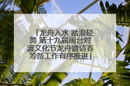 龙舟入水 踏浪轻舞 第十九届闽台对渡文化节龙舟邀请赛筹备工作有序推进