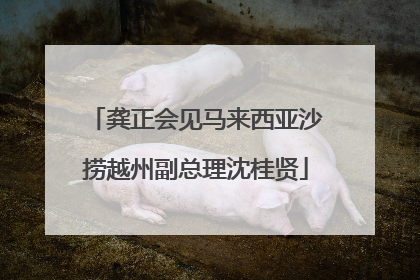 龚正会见马来西亚沙捞越州副总理沈桂贤