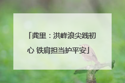 龚里：洪峰浪尖践初心 铁肩担当护平安