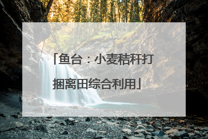 鱼台：小麦秸秆打捆离田综合利用