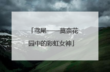 鸢尾——莫奈花园中的彩虹女神