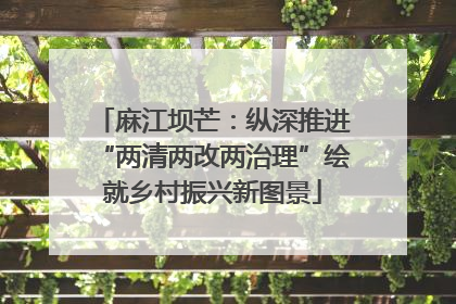 麻江坝芒：纵深推进“两清两改两治理”绘就乡村振兴新图景