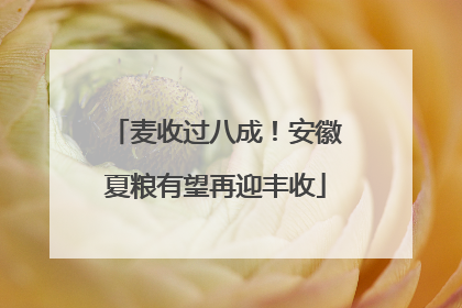 麦收过八成！安徽夏粮有望再迎丰收