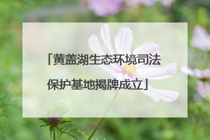 黄盖湖生态环境司法保护基地揭牌成立