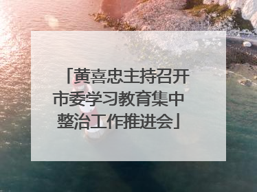 黄喜忠主持召开市委学习教育集中整治工作推进会